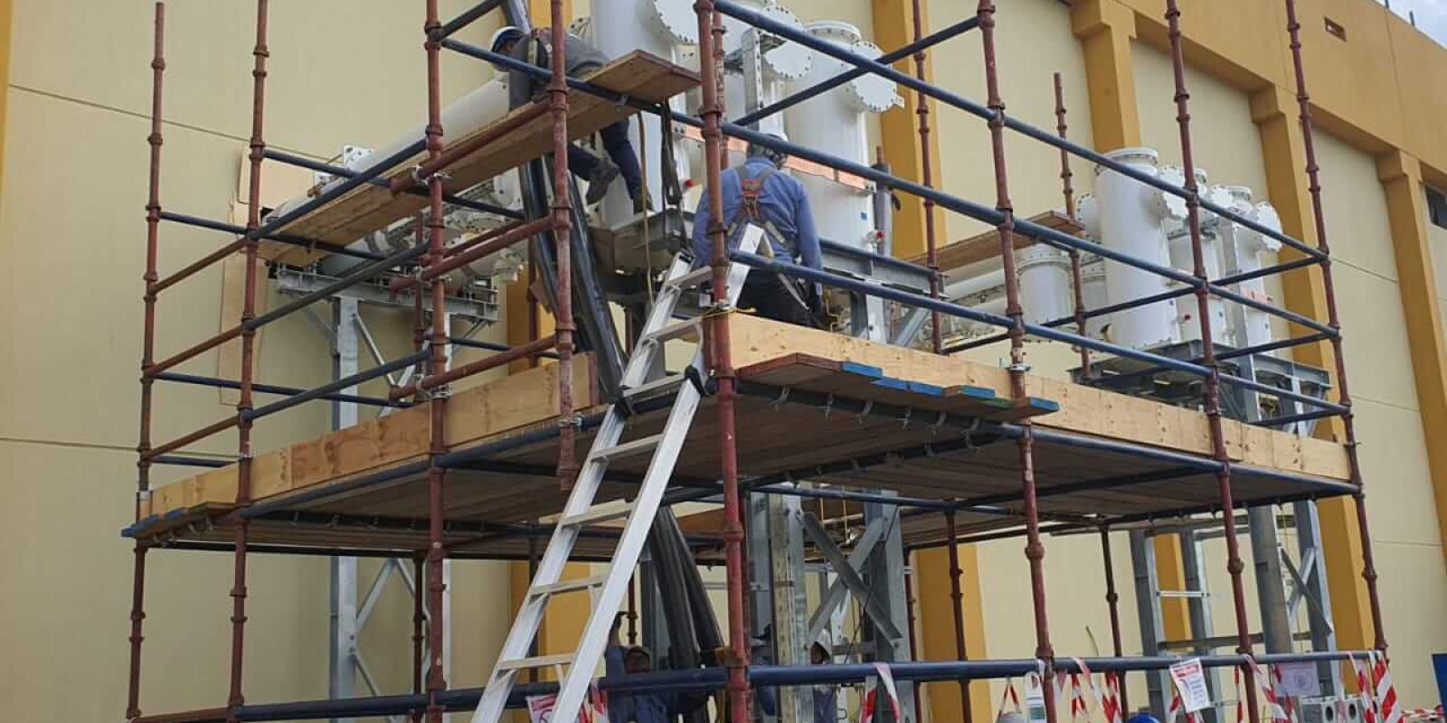 WhatsApp Image 2024-12-24 at 9.10.51 AM (1)