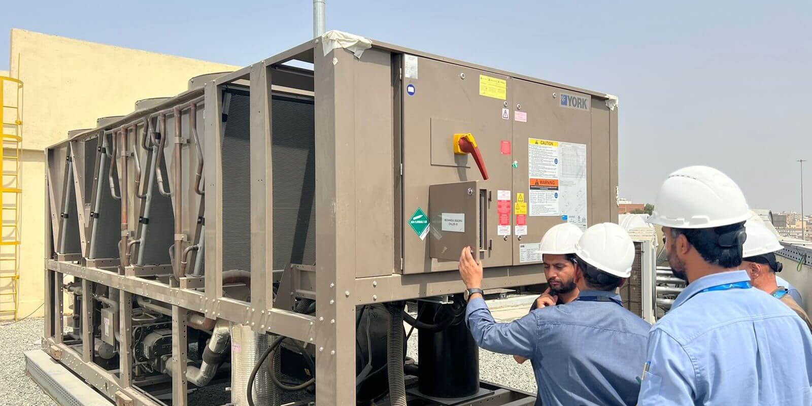 WhatsApp Image 2024-12-29 at 9.39.03 AM (1)