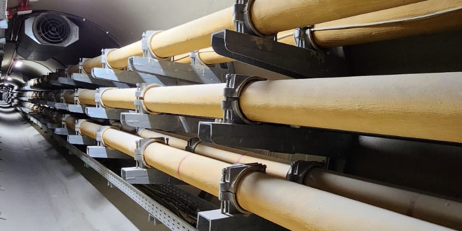 WhatsApp Image 2024-12-29 at 9.39.35 AM (2)