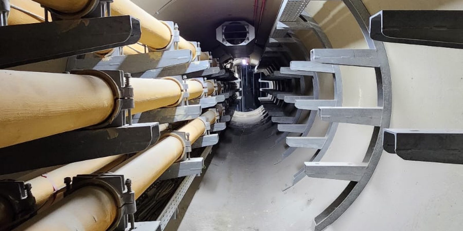 WhatsApp Image 2024-12-29 at 9.39.35 AM (3)