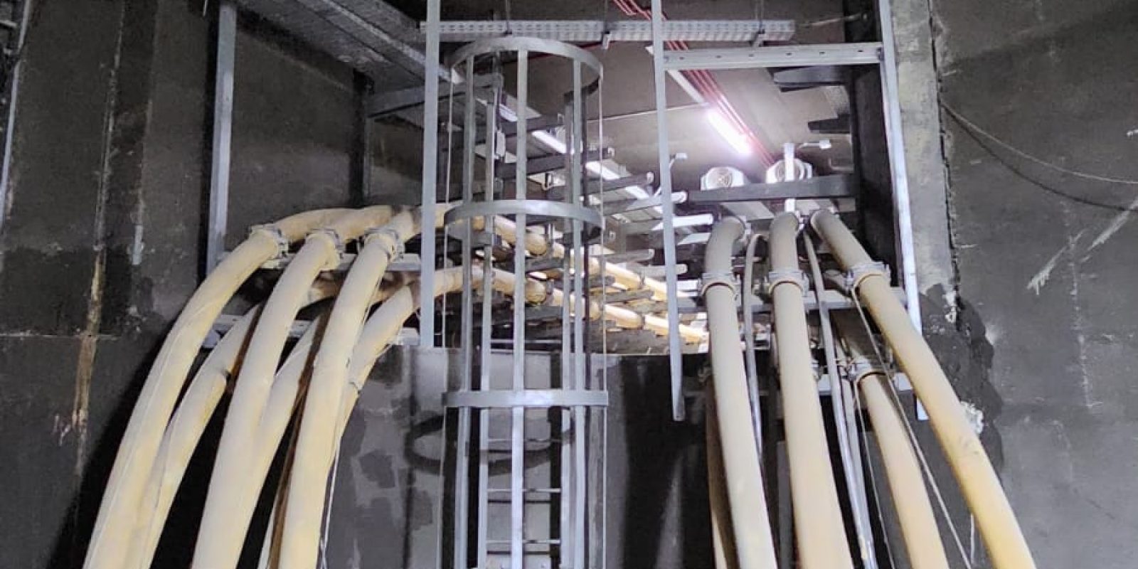 WhatsApp Image 2024-12-29 at 9.39.36 AM (1)