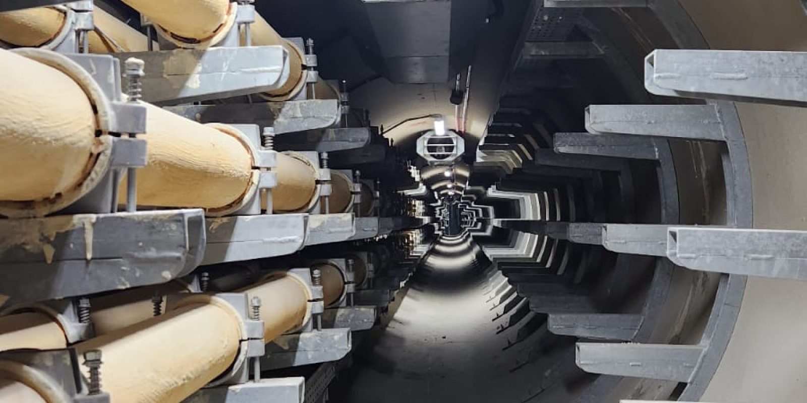 WhatsApp Image 2024-12-29 at 9.39.36 AM