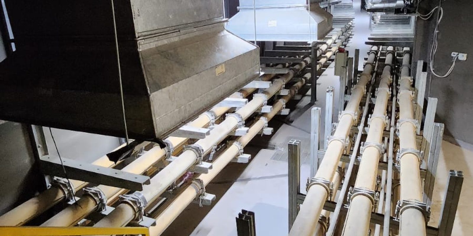 WhatsApp Image 2024-12-29 at 9.39.38 AM